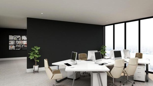 Office 901